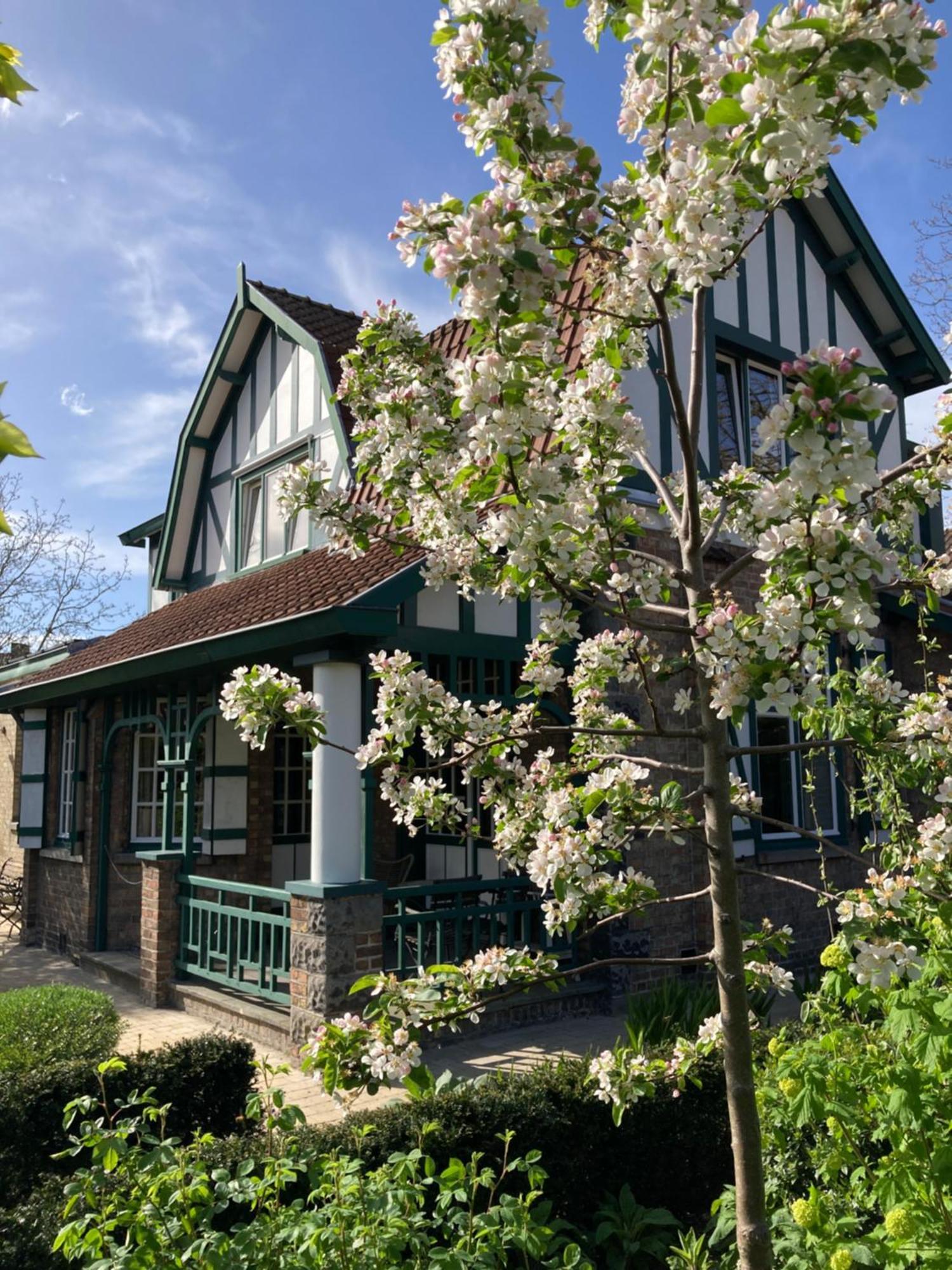 Tree & B Bed & Breakfast บรูจส์ ภายนอก รูปภาพ